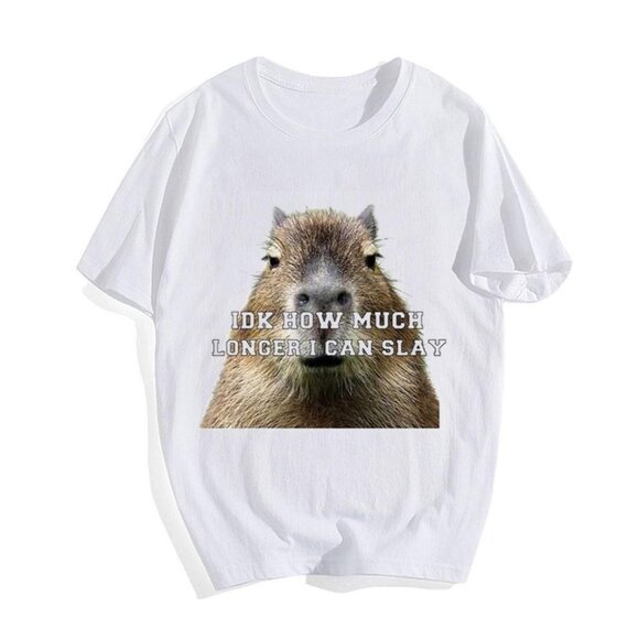 Shannon K Tops - Capybara Meme Shirt Funny Sarcastic Idk How Much Longer I Can Slay Graphic Tee93